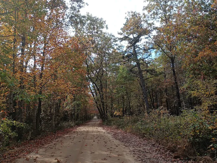 Goshen Pond Camping Area Picture 4