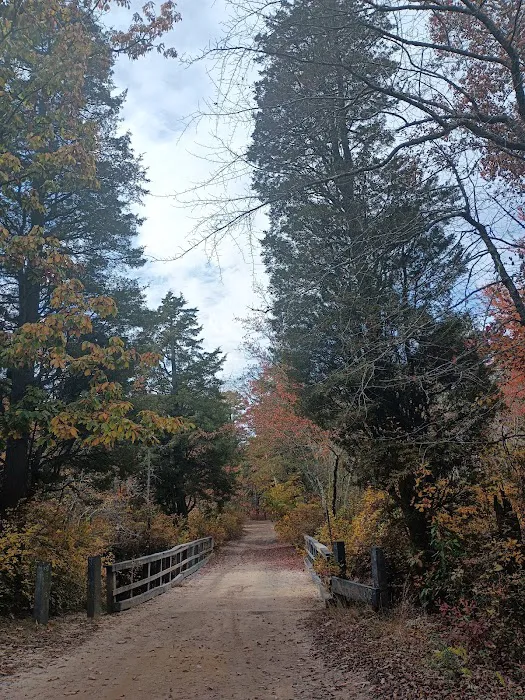 Goshen Pond Camping Area Picture 6