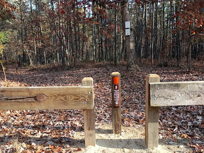 Goshen Pond Camping Area Picture 7
