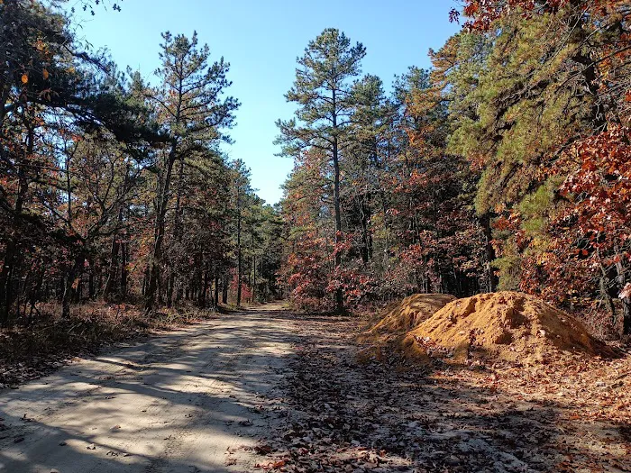Goshen Pond Camping Area Picture 9
