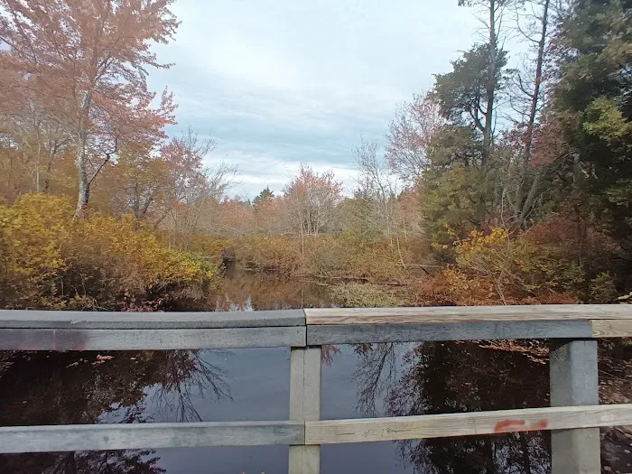 Goshen Pond Camping Area Picture 3