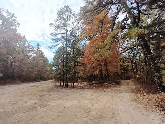 Goshen Pond Camping Area Picture 1