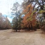 Goshen Pond Camping Area