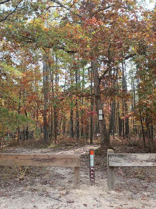 Goshen Pond Camping Area Picture 5