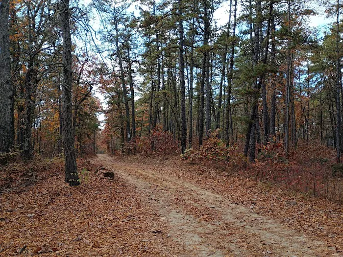 Goshen Pond Camping Area Picture 2