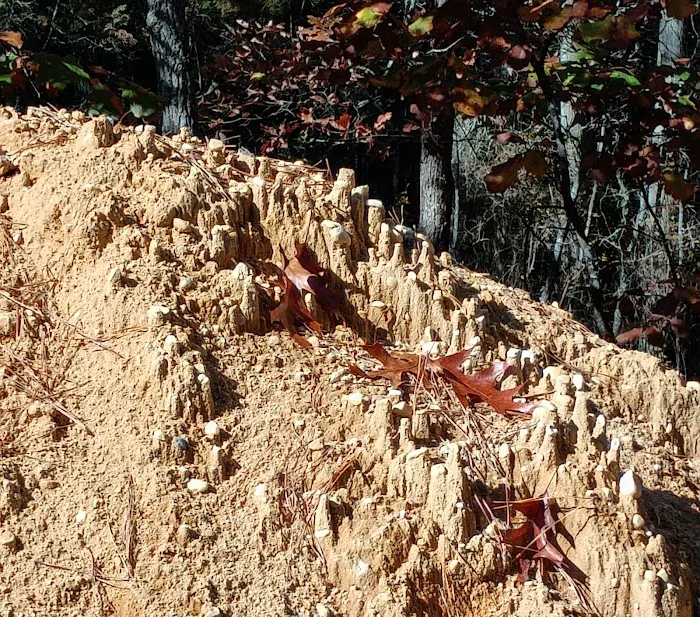 Goshen Pond Camping Area Picture 10