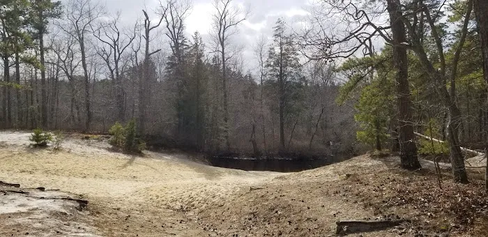 Atsion Office Picture 8