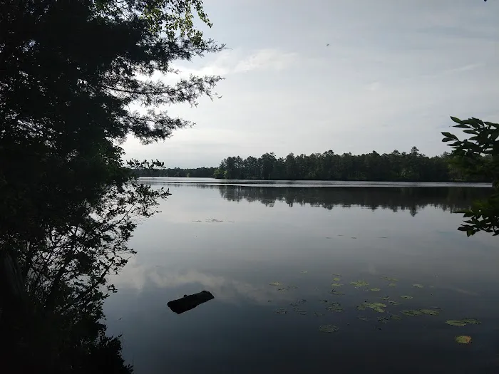 Atsion Family Campground Picture 3