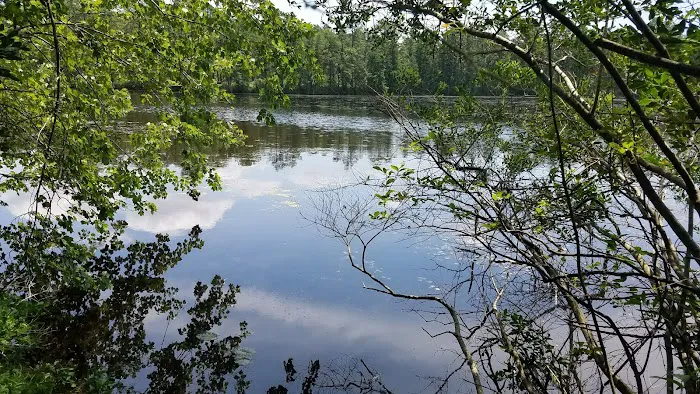 Atsion Family Campground Picture 7