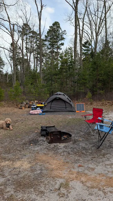 Hawkins Bridge Campground Picture 7