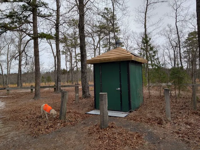 Hawkins Bridge Campground Picture 4