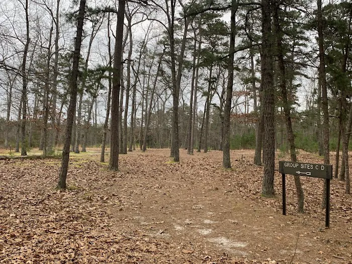 Hawkins Bridge Campground Picture 5