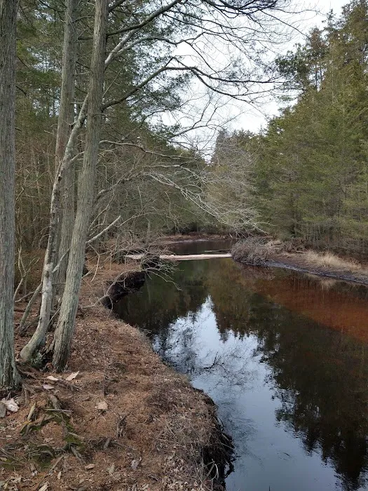 Hawkins Bridge Campground Picture 9