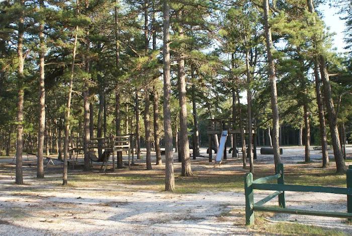Wading Pines Camping Resort Picture 6
