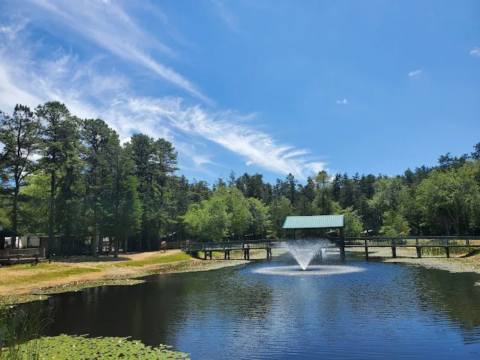 Wading Pines Camping Resort Picture 7