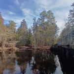 Godfrey Bridge Campground