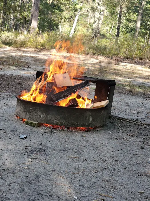 Godfrey Bridge Campground Picture 10