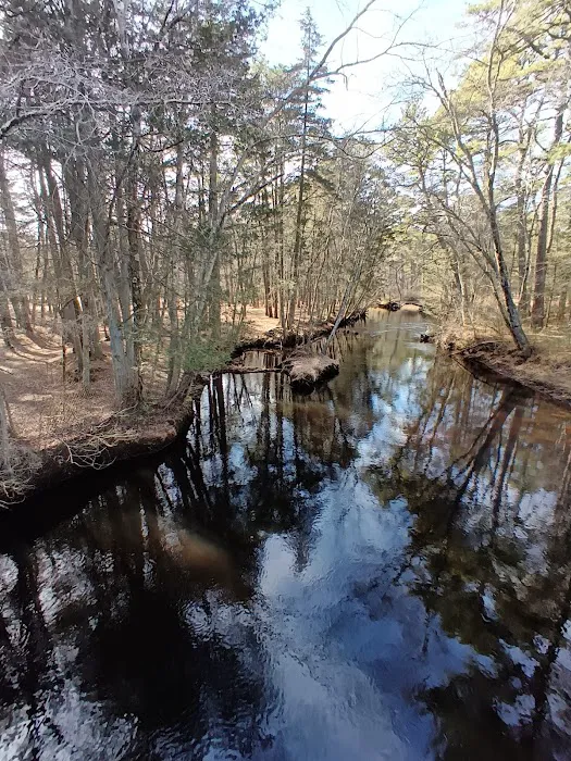 Godfrey Bridge Campground Picture 3