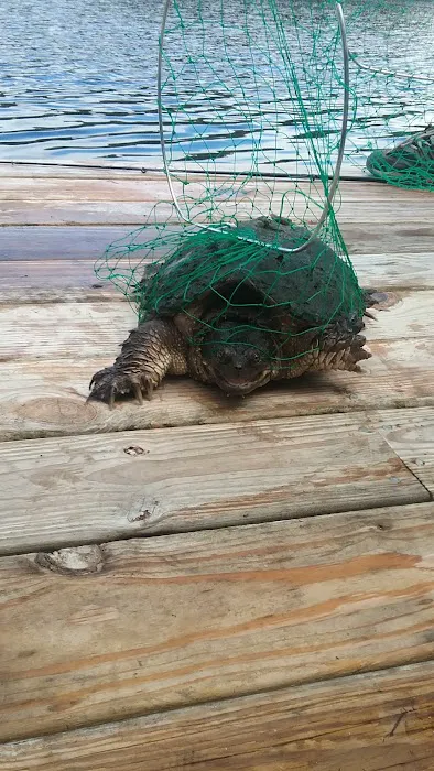 Brookville Campgrounds Picture 4