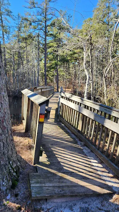 Mullica River Campground Picture 1