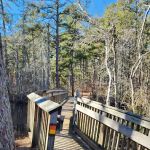 Mullica River Campground