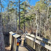 Mullica River Campground ico