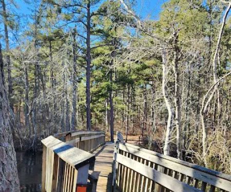 Mullica River Campground