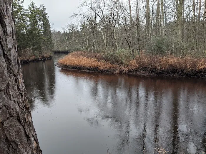 Mullica River Campground Picture 4