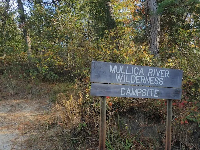 Mullica River Campground Picture 6