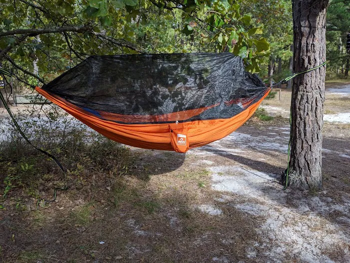 Mullica River Campground Picture 2