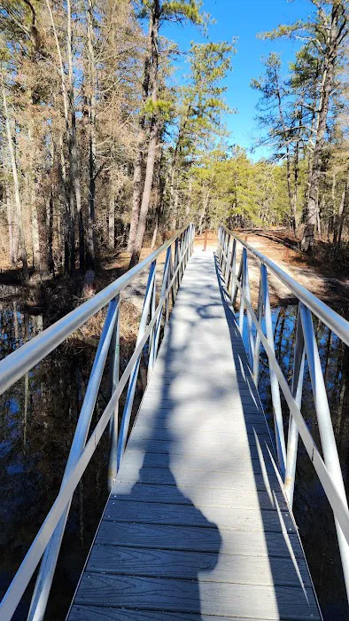 Mullica River Campground Picture 5