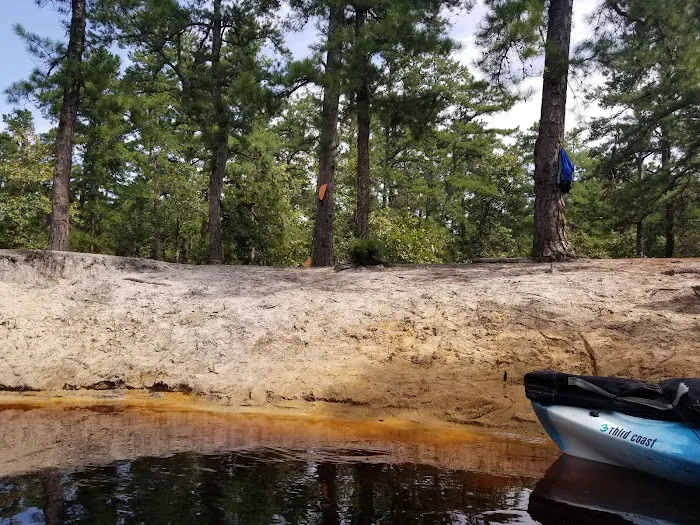 Mullica River Campground Picture 10