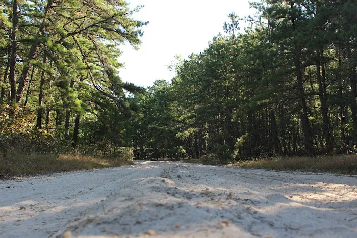 Goshen Pond Camping Area Picture 1