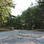 Goshen Pond Camping Area