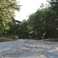 Goshen Pond Camping Area ico