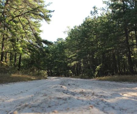Goshen Pond Camping Area