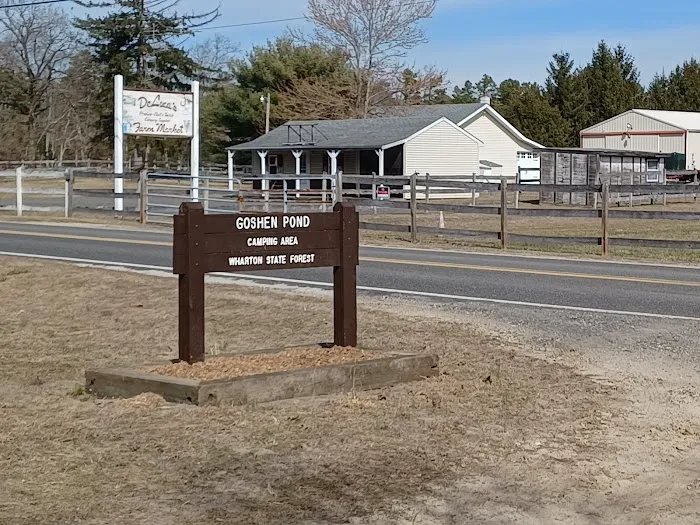 Goshen Pond Camping Area Picture 4