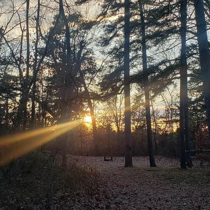 Goshen Pond Camping Area Picture 9