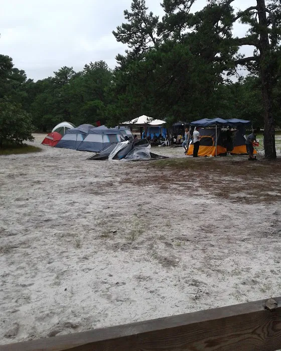 Bodine Field Campground Picture 3