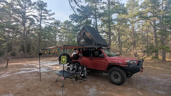 Bodine Field Campground Picture 6