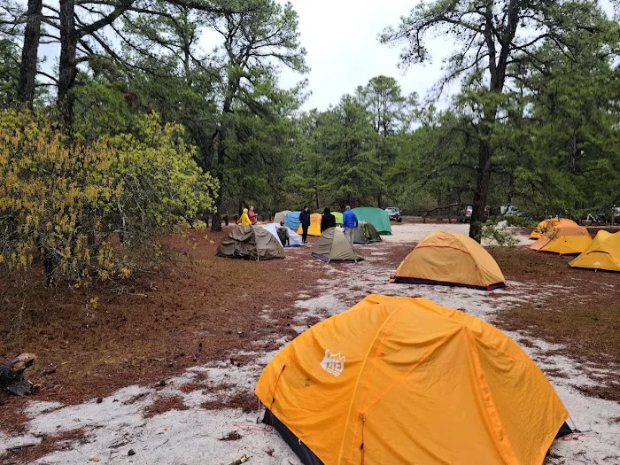 Bodine Field Campground Picture 4