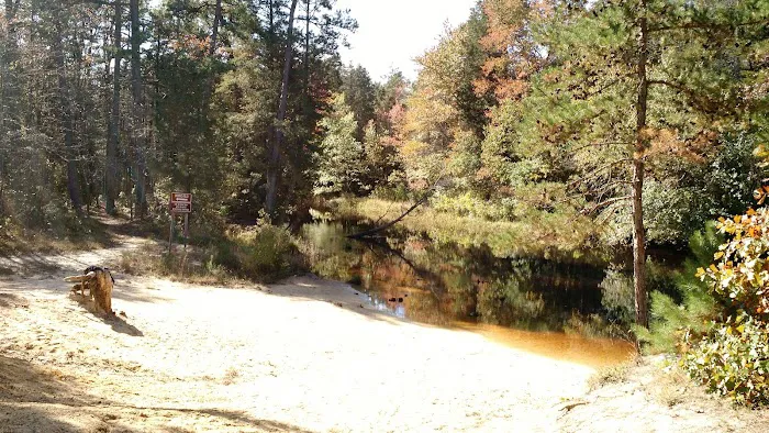 Bodine Field Campground Picture 1