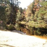 Bodine Field Campground ico