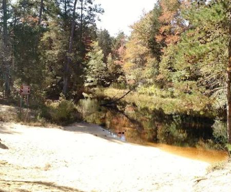 Bodine Field Campground