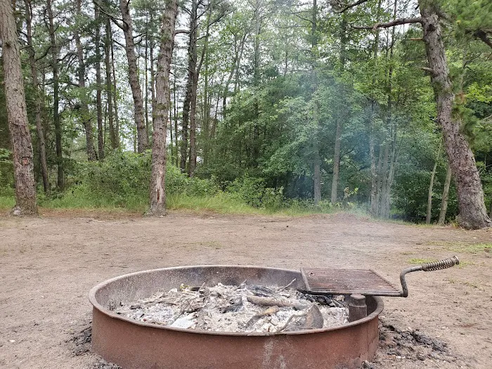 Bodine Field Campground Picture 7