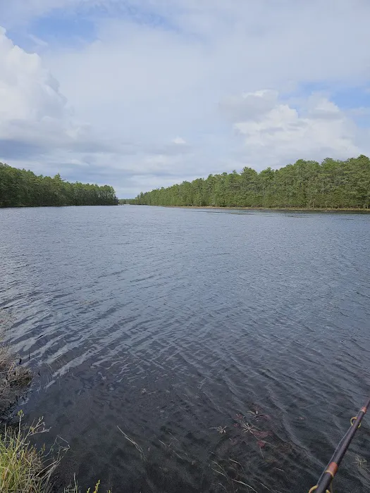 Bodine Field Campground Picture 9