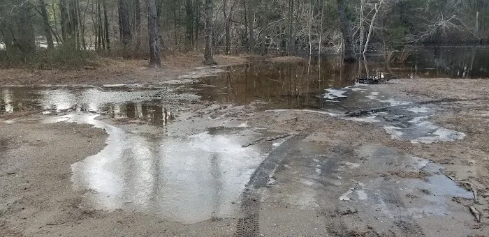 Bodine Field Campground Picture 8