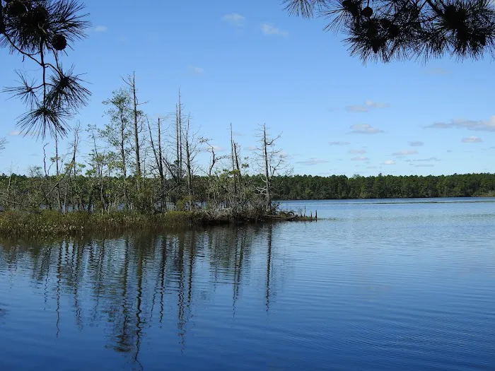 Chips Folly Family Campground Picture 4