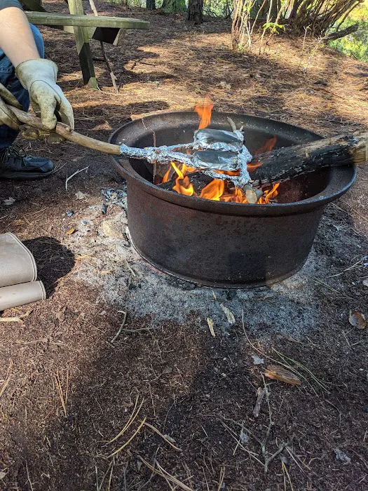 Chips Folly Family Campground Picture 7