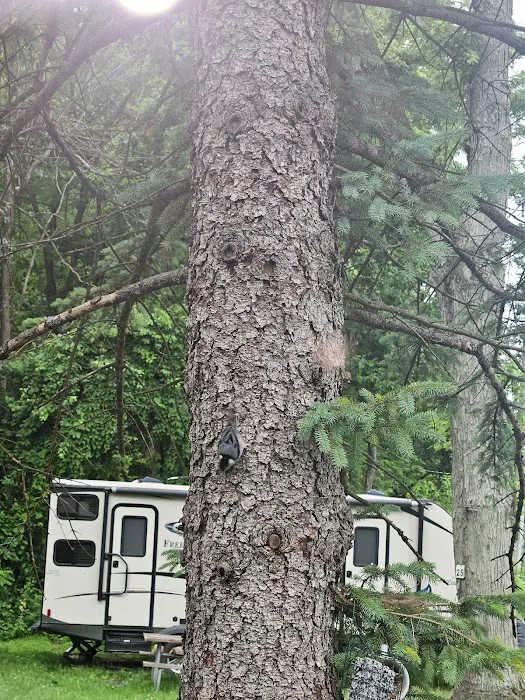 Jugtown Mountain Campsites Picture 6